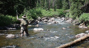 Fly Fishing in Elk Horn Basin