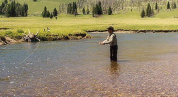 Fly Fishing Slough Creek